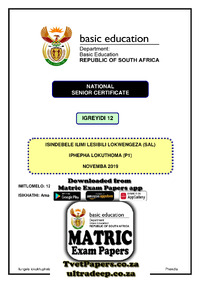 IsiNdebele SAL P1 Nov 2019.pdf